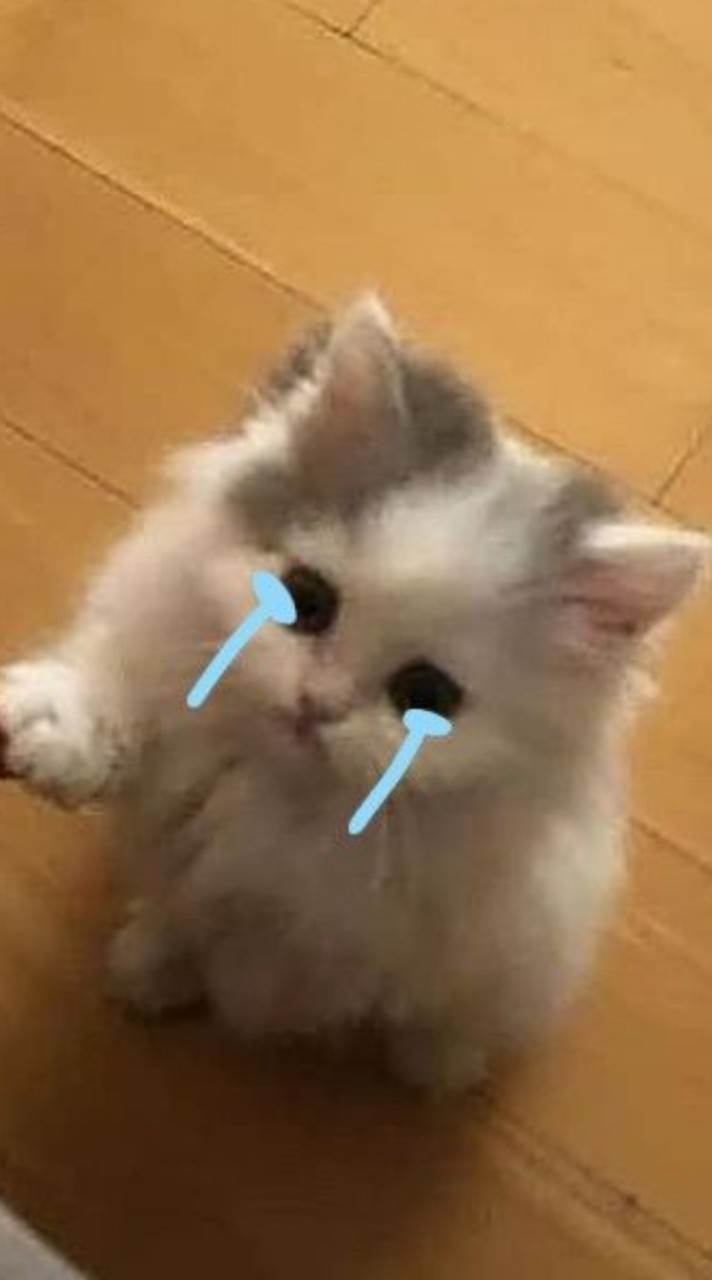ตามหาพิ่ๆ405 ใครเจอให้ลุกอม