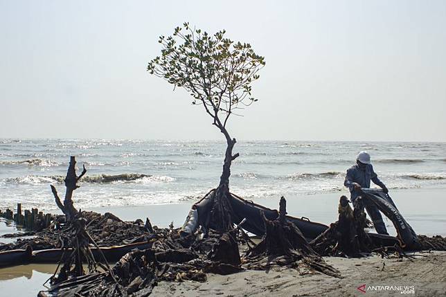 Pertamina Minimalisir Tumpahan Minyak Di Pantai Karawang