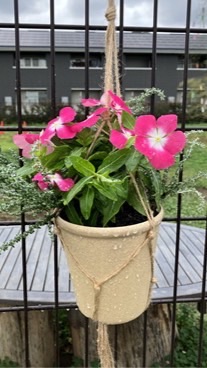 【KITANO GARTEN】🌱🌸