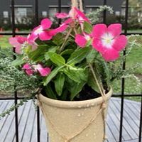 【KITANO GARTEN】🌱🌸
