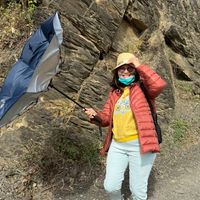 紅吱吱旅遊