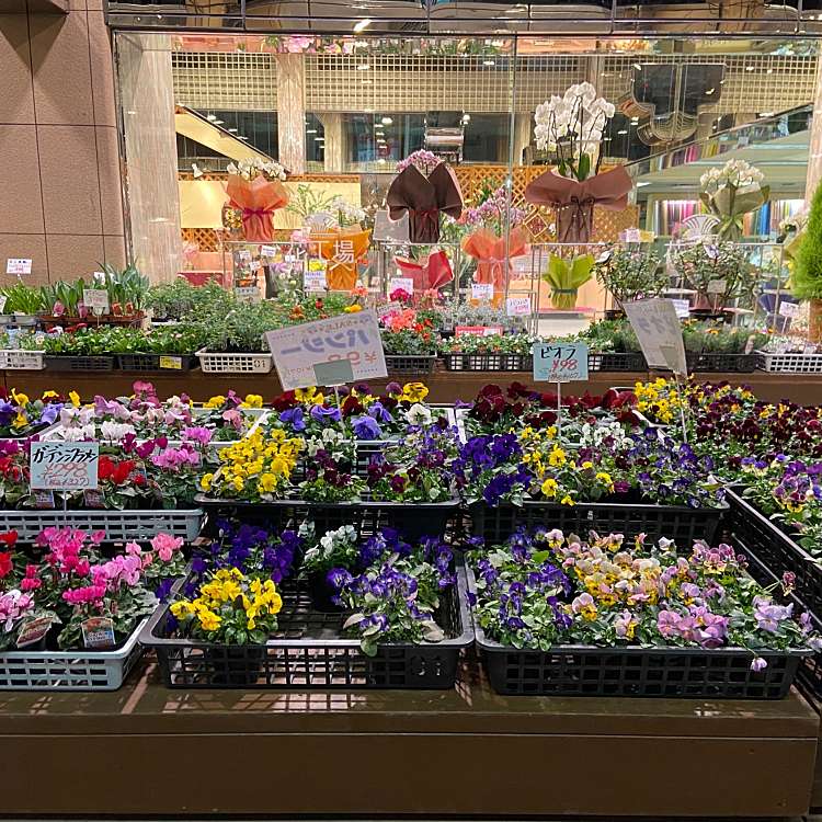 口コミの詳細 花工場 港北ニュータウンセンター南店 荏田東 園芸用品 植木 苗木 By Line Place