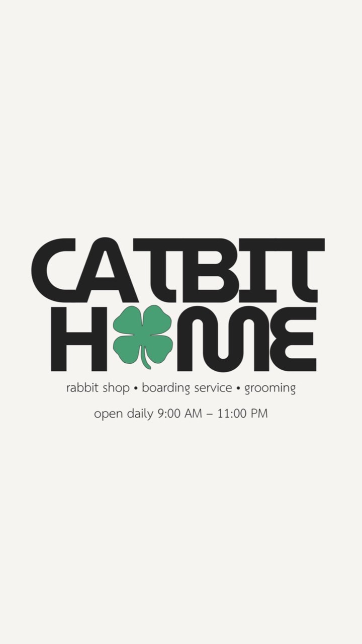 catbit *home 🐰