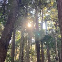 みんなちがってみんないい〜ありのままのわたしで〜