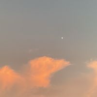 渣女俱樂部+一個小可愛