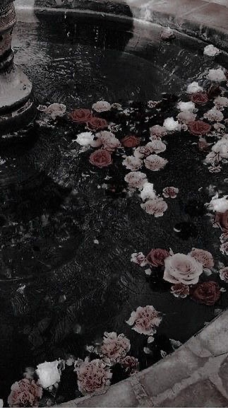 朝まで踊る夢だけ見せて：全也ハント