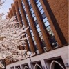 2025年度 春から学習院 🌸新入生🌸