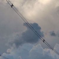 PTA問題を考える会