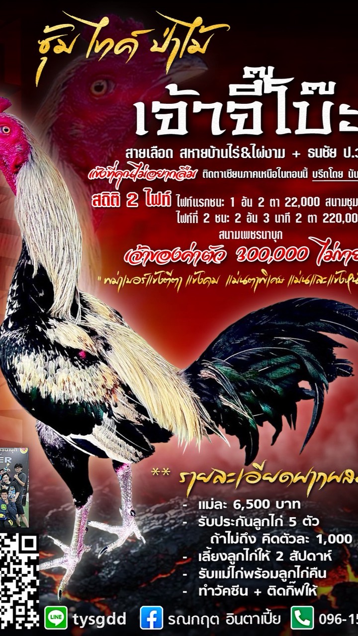 ซุ้ม ไทค์ ป่าไม้(TDตีไม่นาน)