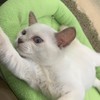 異性の声出せるようみながんばろおお!!