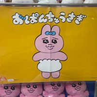 511オパンツ同好会