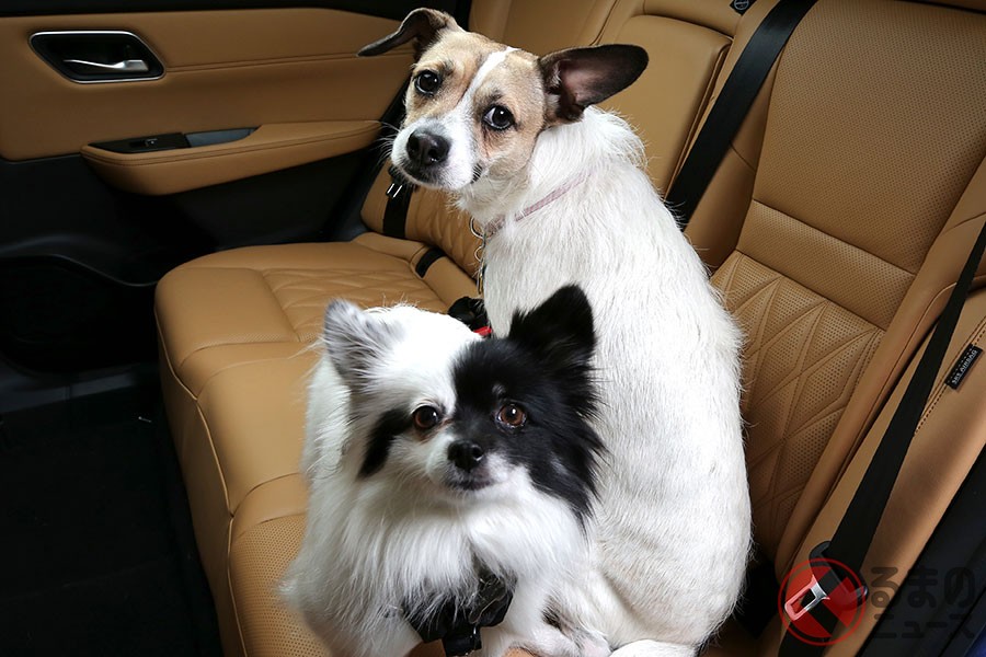 ペットを車内で野放しにするのは危険 犬を安全にクルマに乗せる方法とは