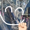 翡翠ちゃんｽﾞ