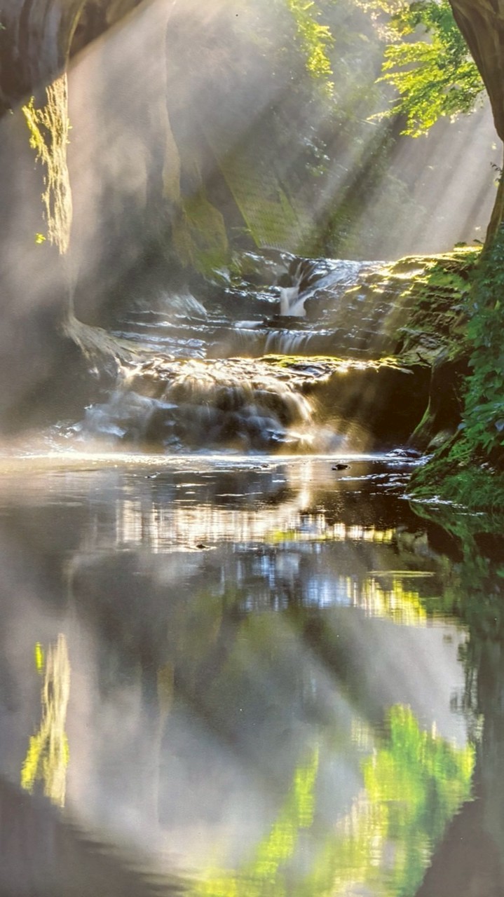 翡翠ちゃんｽﾞ