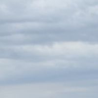 恋愛相談(蛙化現象,倦怠期,遠距離,片思いなどなど...)