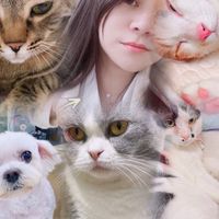誰是貓貓狗狗寵物奴
