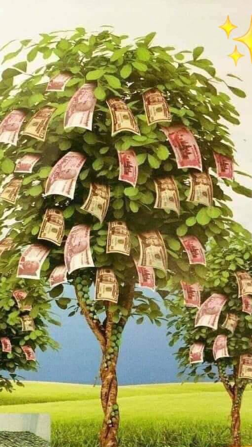 ห้องส่งเอกสาร ( ป้าเพ็ญ)