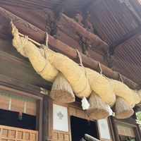 霊視鑑定　(恋愛　複雑恋愛　仕事　人間関係　金運　)