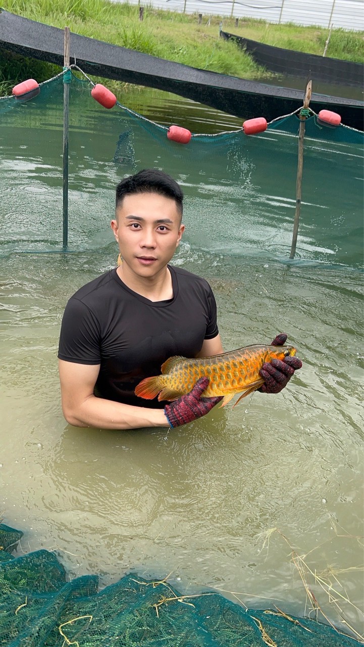 溪水金魚「直購/競標」專用社群