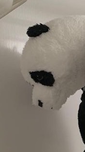 コヒとルカのオープンチャット