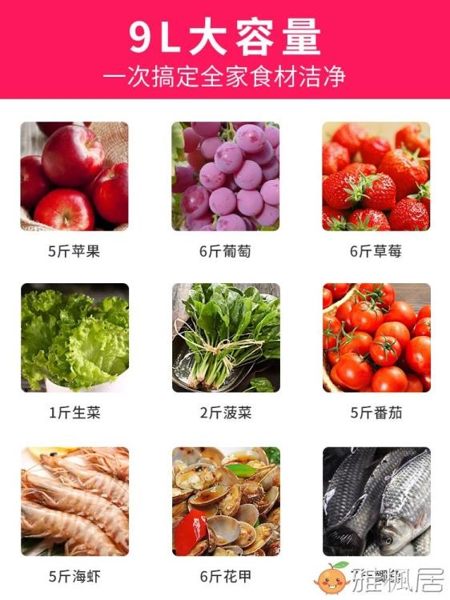 BINGLO智能食材凈化器果蔬消毒清洗機蔬菜去農殘家用清洗