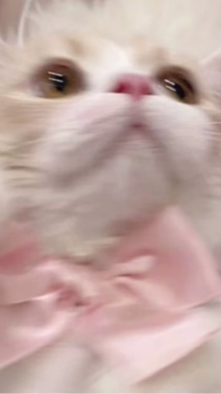 ゆな🎀の生活音オプチャ