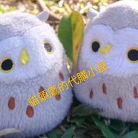 貓頭鷹的代購小屋