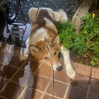 手のひらを太陽に