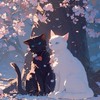 貓貓遊樂園