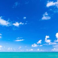 自由な働き方✨リモートワーク