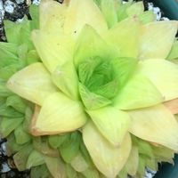 胡聊瞎聊