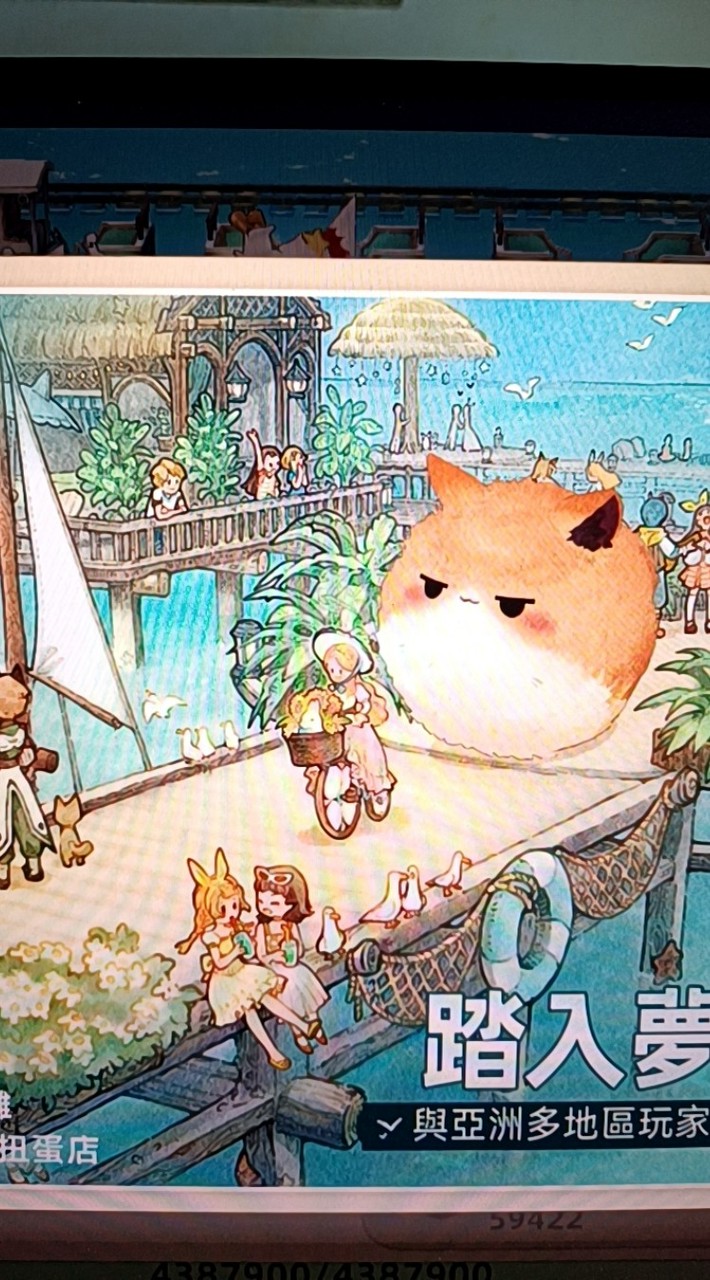 橘貓糖果屋