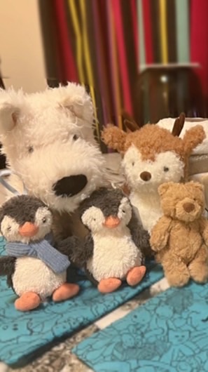 Jellycat 法國代購團！