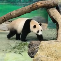 瘋種菜-買賣群