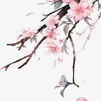 故事酒樓 （寫手/讀者/聲優/聲控）