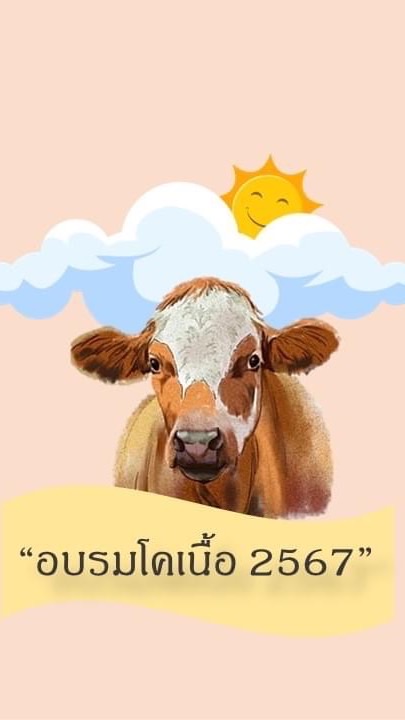 การเพิ่มศักยภาพกาคผลิตโคเนื้ออย่างมีประสิทธิภาพ ประจำปี 2567