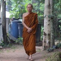 พิธีสตมวาร ณ วัดสันติวนาราม อ.ฝาง จ.เชียงใหม่