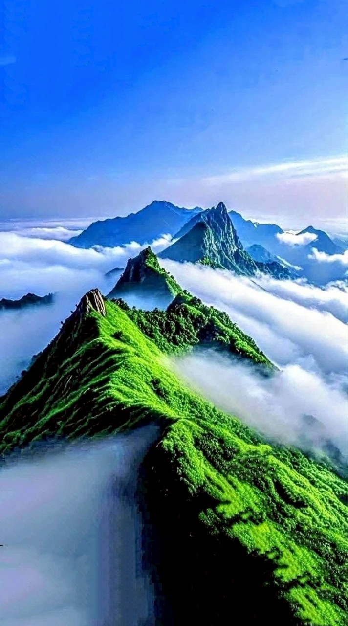快樂影音分享群
