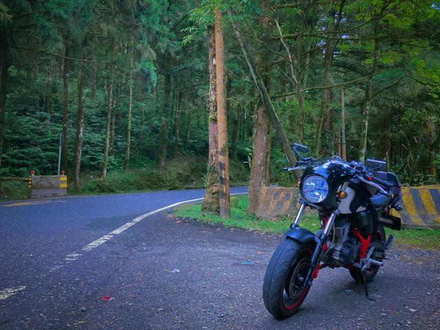 圖片來自小編朋友。