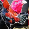 ซุ้มไทยใหญ่ฟาร์ม 2 พี่น้อง
