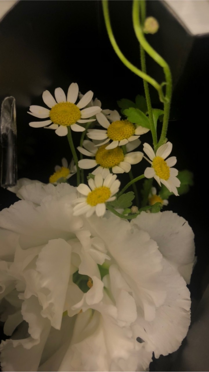 三民天天有花🌹