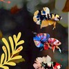 Betta fish market ปลากัดทุกสายพันธุ์ ชื้อขาย