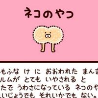 🫧‪にゃんたまの集い🫧‪全国雑談R∞M🫧‪20代から50代🫧‪朝*夜🌃