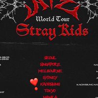 喜迎SKZ來寶島❤️‍🔥Stray kids高雄場討論群