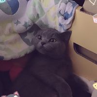 林雨彤！