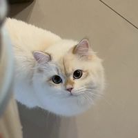 喵一眼韓國代購選物！