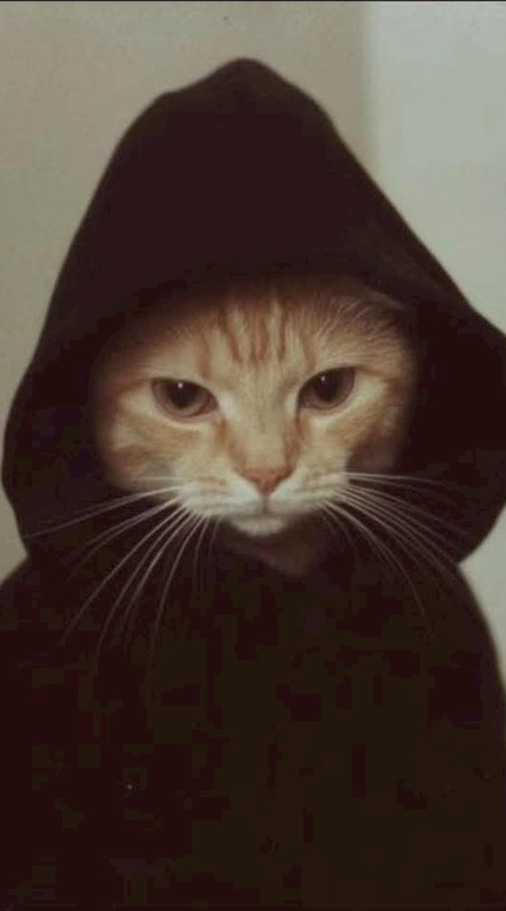 ตี๋ไหญ่