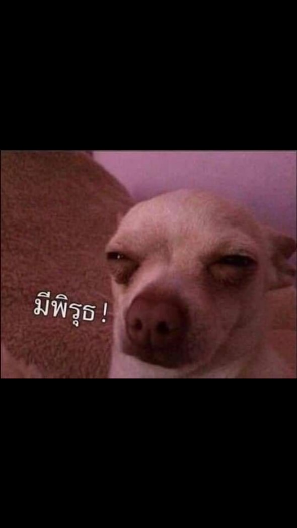 หาพี่ให้เจอ68