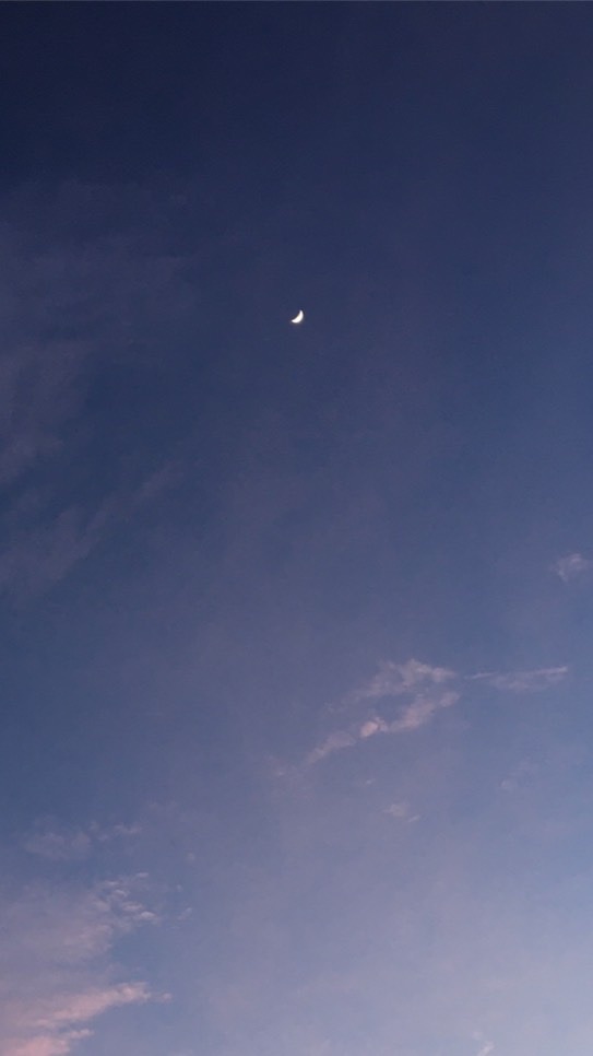 112ɢsᴀᴛ 學測就上