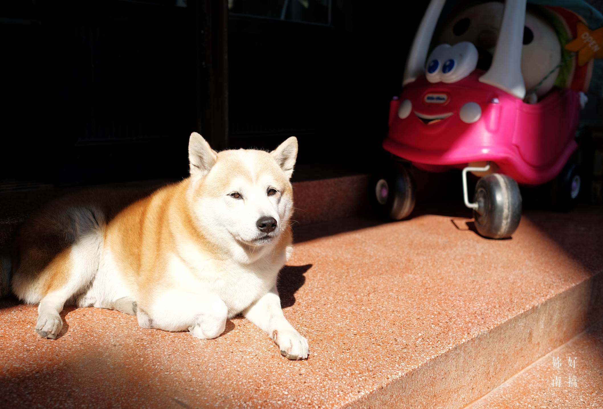 台南湯圓-24-妳好南搞